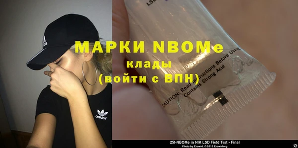 ГАЛЛЮЦИНОГЕННЫЕ ГРИБЫ Карталы