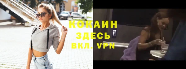твердый Касимов