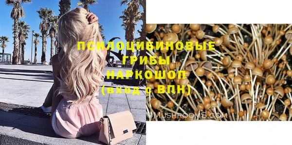 ГАЛЛЮЦИНОГЕННЫЕ ГРИБЫ Карталы