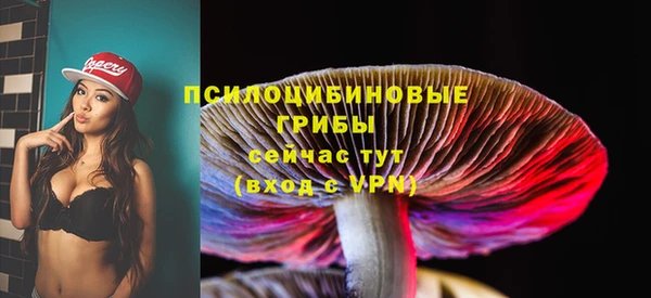 твердый Касимов