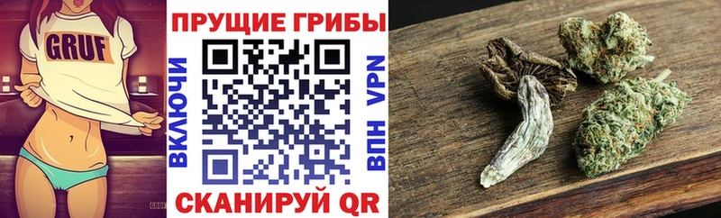 Псилоцибиновые грибы Psilocybine cubensis  Купить где  Нарьян-Мар 